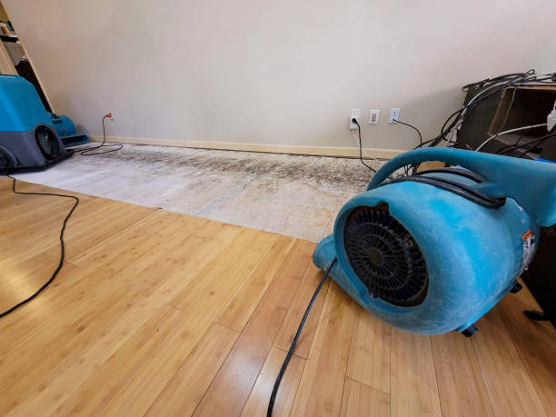 Professional Water Extraction technician working in Elgin, OK